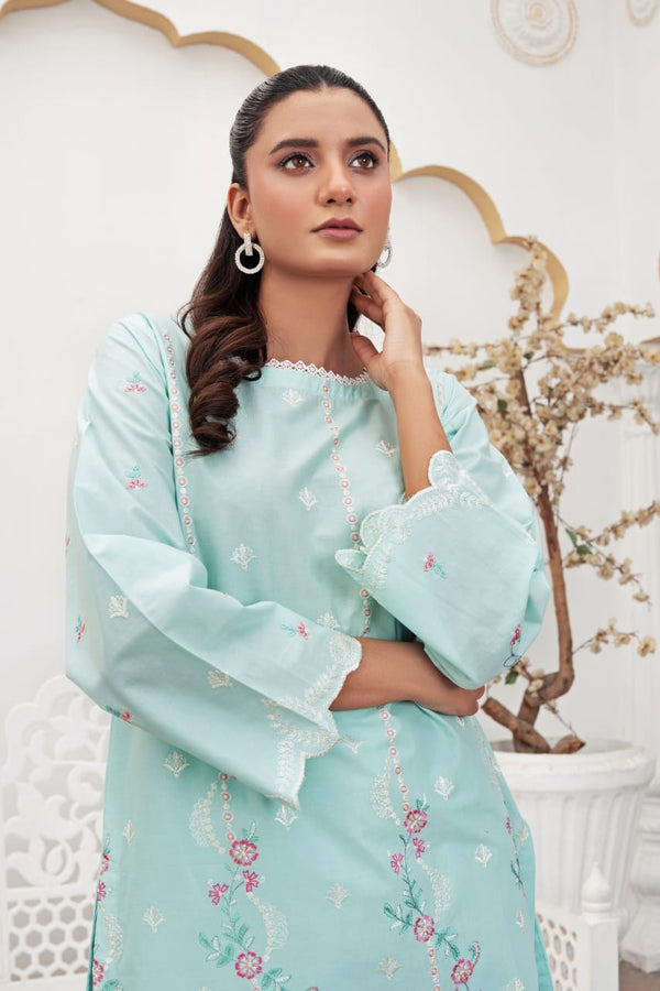 Stitched Embroidered - Lawn Suit (2PC)